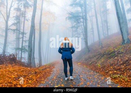 Herbst Landschaft mit Bäumen und Nebel mit Walking girl Silhouette, Tschechische Republik, Europa Stockfoto