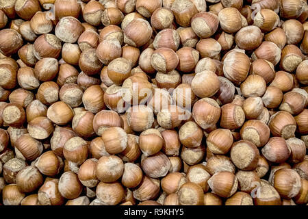 Viele Haselnüsse in der Schale auf dem Markt Textur Hintergrund Stockfoto