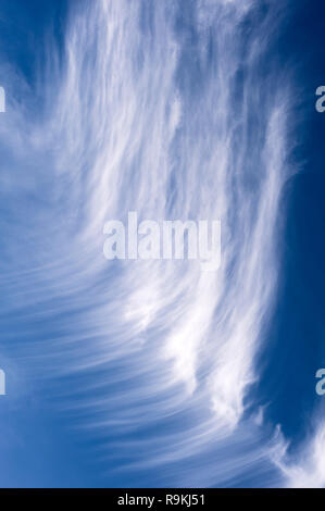Cirrus Wolken breiten sich über blauen Himmel erstellen Tierformen Stockfoto