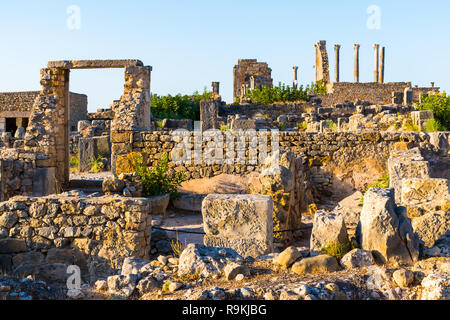 Schöne alte Mosaik in römischen Ruinen von Volubilis, Unesco, Meknes, Marokko, Afrika Stockfoto