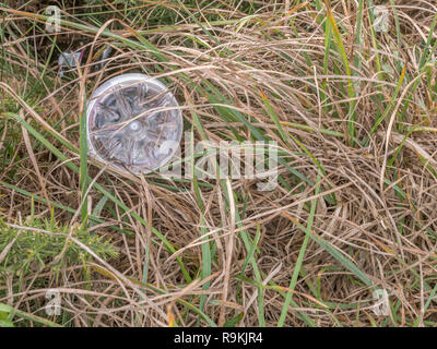 PTFE-Kunststoff Soft drink Flasche in ländlichen Hecke graben verworfen. Metapher Kunststoff Verschmutzung, Umweltverschmutzung, Krieg auf Kunststoffabfälle. Stockfoto