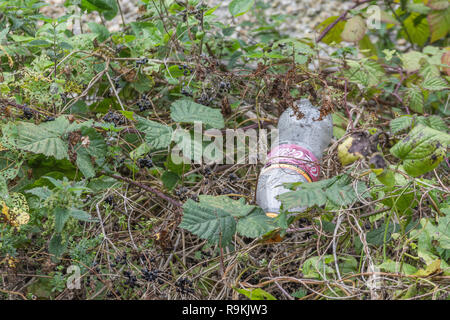 PTFE-Kunststoff Soft drink Flasche in ländlichen Hecke verworfen. Metapher Kunststoff Verschmutzung, Umweltverschmutzung, Krieg auf Kunststoff, plastik Müll Stockfoto