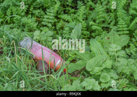 PTFE Soft drink Flasche in ländlichen Hecke graben verworfen. Metapher Kunststoff Verschmutzung, Umweltverschmutzung, Krieg auf Kunststoff, plastik Müll. Stockfoto