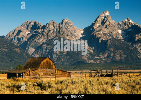 Mormon Zeile Scheune in herbstlichen Farben, Grand Teton National Park, Wyoming Stockfoto