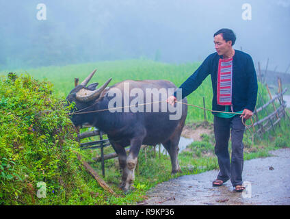 Mann aus dem Roten Dao Minderheit in einem Dorf in der Nähe von Ha Giang in Vietnam. Stockfoto