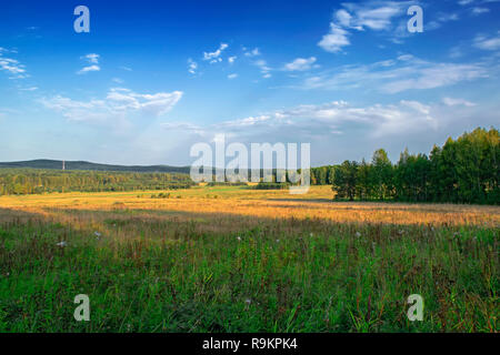 Weiß dichte Wolken gegen den blauen Himmel liegen auf der grünen Berghänge mit einem dichten Wald wächst an Ihnen. Stockfoto