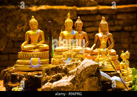 Goldene Statuen von Buddha im Wat Umong Tempel in Chiang Mai inThailand Stockfoto