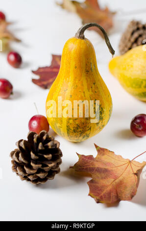 Herbst noch Leben mit Kürbis, wild Äpfel und trocken gelbe Blätter. Stockfoto