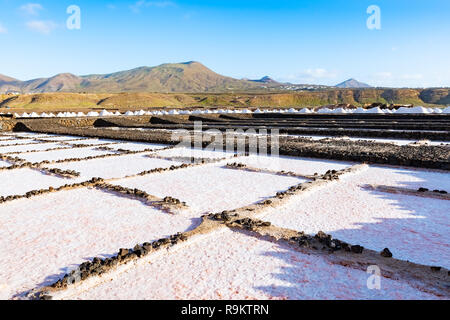 Salz Pfähle auf einer Kochsalzlösung Exploration in Salt factory Raffinerie Minen Janubio, Lanzarote, Kanarische Inseln, Spanien. Stockfoto