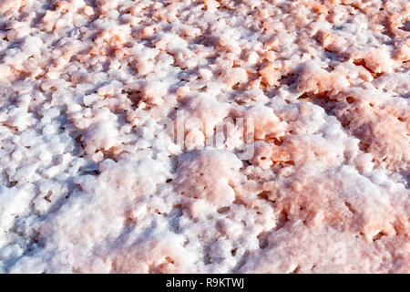 Salz Pfähle auf einer Kochsalzlösung Exploration in Salt factory Raffinerie Minen Janubio, Lanzarote, Kanarische Inseln, Spanien. Stockfoto