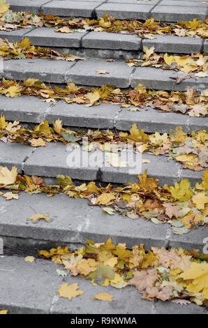 Alte konkrete Schritte, mit einer Menge Vergilbung gefallenen Blätter im Herbst gestreut Stockfoto