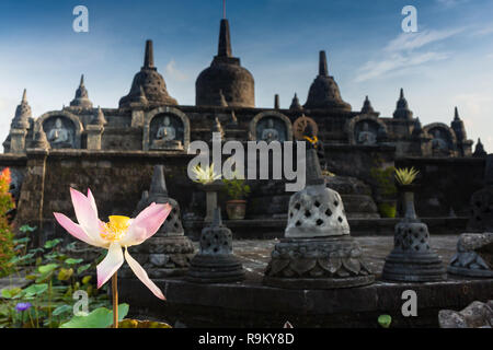 Taman Lumbini Park von der Höhe der Tempelanlage Candi Borobudur bei Sonnenaufgang im Nebel. Candi Borobudur, Yogyakarta, Jawa, Indonesien. Stockfoto