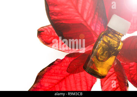 Floriterapia Bacha - natürliche Medizin. Ätherisches Öl mit Blumen auf Weiß. Stockfoto