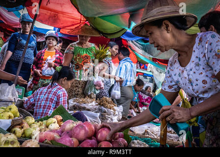 Frau Shopping für Obst in der gedrängten Sari San-Markt, Mandalay, Myanmar Stockfoto