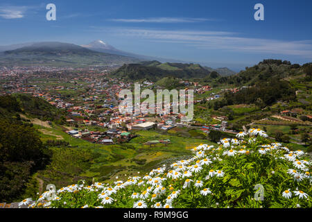 Wunderschöne Landschaft von Teneriffa, Kanarische Inseln, Spanien. Stockfoto