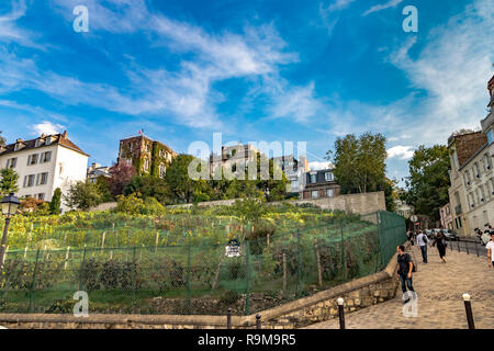 Le Clos Montmartre , das Weingut von Montmartre, das 1933 von der Stadt Paris als Weingut im 18. Arrondissement, Paris, Frankreich, gegründet wurde Stockfoto