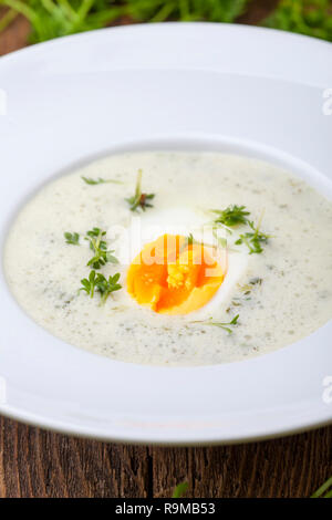 Frischer Kerbel Suppe in einer Schüssel auf Holz Stockfoto