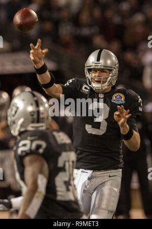 Oakland, Kalifornien, USA. 6. Dezember, 2012. Oakland Raiders quarterback Carson Palmer (3) am Donnerstag an O. co Coliseum in Oakland, CA. Die Broncos besiegt die Räuber 26-13. Credit: Al Golub/ZUMA Draht/Alamy leben Nachrichten Stockfoto