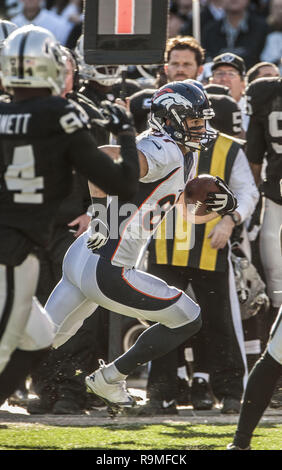 Oakland, Kalifornien, USA. 29 Dez, 2013. Denver Broncos wide receiver Eric Decker (87) macht den großen Run auf den Nebenerwerben am Sonntag, 29 Dezember, 2013 in Oakland, Kalifornien. Die Broncos besiegt die Räuber 34-14. Credit: Al Golub/ZUMA Draht/Alamy leben Nachrichten Stockfoto