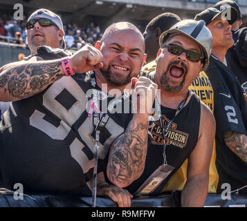 Oakland, Kalifornien, USA. 15 Sep, 2013. Schwarzes Loch Fans glücklich über erste Touchdown, der am Sonntag, dem 15. September 2013 in Oakland, Kalifornien. Die Räuber besiegt die Jaguare 34-31. Credit: Al Golub/ZUMA Draht/Alamy leben Nachrichten Stockfoto