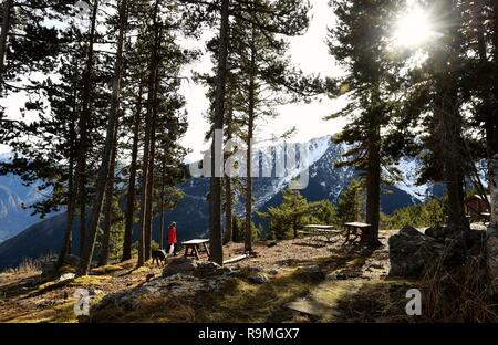 Andorra, Andorra. 25 Dez, 2018. Eine Frau Spaziergänge in den Wäldern auf einem Gipfel der Pyrenäen in der Nähe von La Massana, Andorra, Dez. 25, 2018. Quelle: Guo Qiuda/Xinhua/Alamy leben Nachrichten Stockfoto