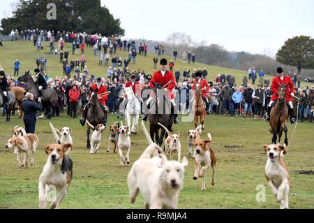 New Forest Jagdhunde Boxing Day Jagd bei der Bolton Bank in Lyndhurst, Hampshire, Großbritannien Stockfoto