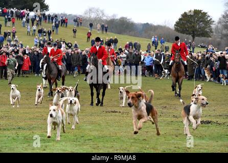 New Forest Jagdhunde Boxing Day Jagd bei der Bolton Bank in Lyndhurst, Hampshire, Großbritannien Stockfoto