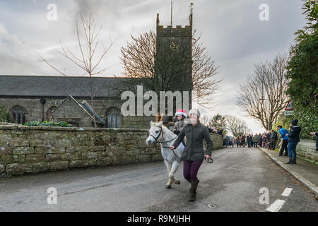 Madron, in der Nähe von Penzance, Cornwall, UK. 26. Dezember 2018. Eine junge Reiter schließt sich mit der westlichen Jagd auf ihrer jährlichen Boxing Day Hunt von madron. Foto: Simon Maycock/Alamy leben Nachrichten Stockfoto