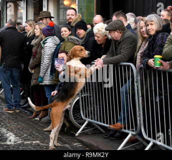 Newport, Shropshire, Großbritannien. 26. Dezember, 2018. Freunde machen! Ein Hund schüttelt Pfoten mit Zuschauern an der Albrighton Jagd Boxing Day in Newport Credit: David Bagnall/Alamy Leben Nachrichten treffen Stockfoto