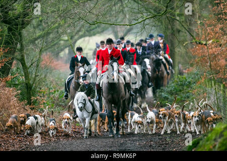 Chorley, Lancashire, UK. 26. Dez. 2018. Boxing Day Jagd bei Rivington. Pferde und Hunde zurück zu Rivington für traditionelle Holcombe Hunt's Boxing Day treffen. Hunderte von Zuschauern versammelt ist, um die Fahrt zu unterstützen, da sie für eine 3-stündige Fahrt nach der Klang des Horns. Die Jagd mit Hunden leben Steinbruch wurde 2004 verboten, nachdem der Sprecher des Unterhauses des Parlaments Handeln aufgerufen, die Gesetzgebung durch zu zwingen. Die holcombe Jagd hält trifft in der gesamten, Lancashire, aber ihre Boxing Day sammeln ist traditionell Rivington statt. Credit: MediaWorldImages/AlamyLiveNews Stockfoto