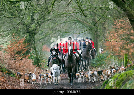 Chorley, Lancashire, UK. 26. Dez. 2018. Boxing Day Jagd bei Rivington. Pferde und Hunde zurück zu Rivington für traditionelle Holcombe Hunt's Boxing Day treffen. Hunderte von Zuschauern versammelt ist, um die Fahrt zu unterstützen, da sie für eine 3-stündige Fahrt nach der Klang des Horns. Die Jagd mit Hunden leben Steinbruch wurde 2004 verboten, nachdem der Sprecher des Unterhauses des Parlaments Handeln aufgerufen, die Gesetzgebung durch zu zwingen. Die holcombe Jagd hält trifft in der gesamten, Lancashire, aber ihre Boxing Day sammeln ist traditionell Rivington statt. Credit: MediaWorldImages/AlamyLiveNews Stockfoto