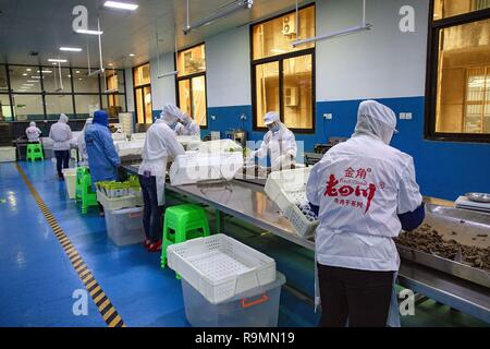 Chongqing, Chongqing, China. 26 Dez, 2018. Chongqing, China - der Qijiang Industrial Park im Südwesten ChinaÃ¢â'¬â"¢s Chongqing. Credit: SIPA Asien/ZUMA Draht/Alamy leben Nachrichten Stockfoto