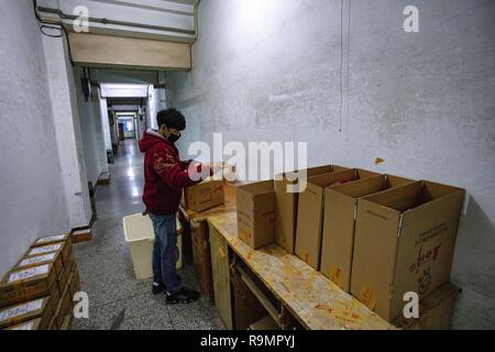 Chongqing, Chongqing, China. 26 Dez, 2018. Chongqing, China - der Qijiang Industrial Park im Südwesten ChinaÃ¢â'¬â"¢s Chongqing. Credit: SIPA Asien/ZUMA Draht/Alamy leben Nachrichten Stockfoto