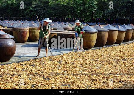 Chongqing, China. 26 Dez, 2018. Zahlreiche Töpfe von sojasauce kann an einer traditionellen chinesischen fermentierte Sojasoße Werk im Südwesten Chinas Chongqing gesehen werden. Credit: SIPA Asien/ZUMA Draht/Alamy leben Nachrichten Stockfoto