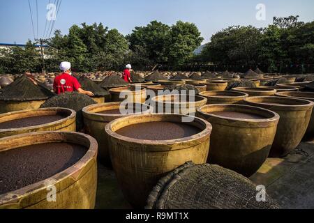 Chongqing, China. 26 Dez, 2018. Zahlreiche Töpfe von sojasauce kann an einer traditionellen chinesischen fermentierte Sojasoße Werk im Südwesten Chinas Chongqing gesehen werden. Credit: SIPA Asien/ZUMA Draht/Alamy leben Nachrichten Stockfoto