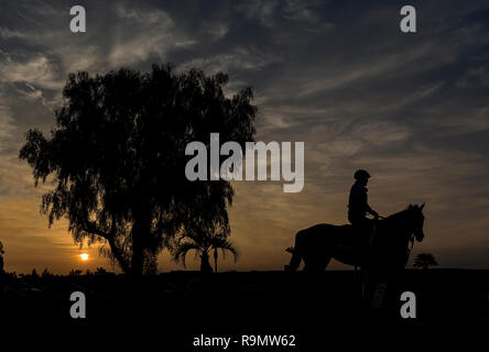 Louisville, KY, USA. 18 Dez, 2018. Dezember 26, 2018: Pferde am Bahnhof Santa Anita Park am 26. Dezember in Arcadia, Kalifornien 2018. Evers/Eclipse Sportswire/CSM/Alamy leben Nachrichten Stockfoto