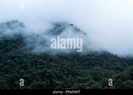 Blick auf Cloud Regenwald in Peru, Dschungel, in tropische Region, reisen Abenteuer in Peru, Wolken über Regenwald, wunderschöne Landschaft, Wallpap Stockfoto