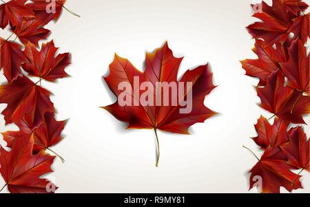 Ahornblätter in Form der Kanadischen Flagge, Vector Illustration Stock Vektor