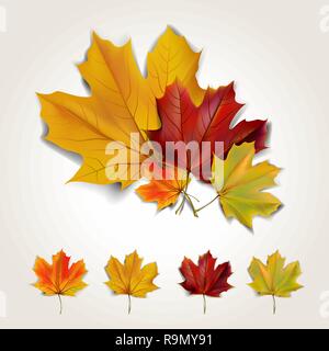Set aus bunten Blätter im Herbst mit Schatten. Vector Illustration Stock Vektor