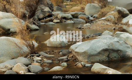 Badger Federn Waschen Trail Arizona Stockfoto