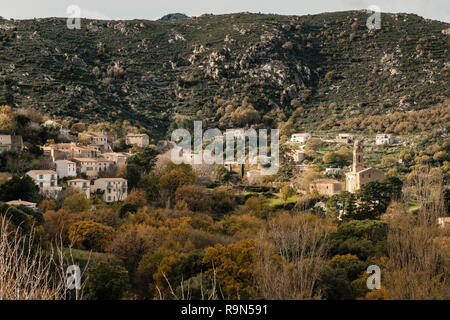 Alte Berg Dorf Feliceto in der Balagne Korsika durch die herbstlichen Bäumen Stockfoto