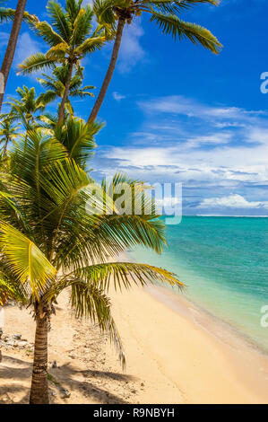 Tropische Inselparadies von klaren, blauen Himmel und weißer Sand an der Coral Coast. Stockfoto
