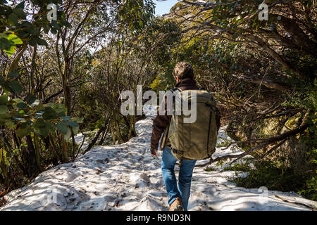 Lady wandern mit grossen Fotografie Rucksack im Schnee Mt Buffalo Stockfoto