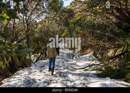 Lady wandern mit grossen Fotografie Rucksack im Schnee Mt Buffalo Stockfoto