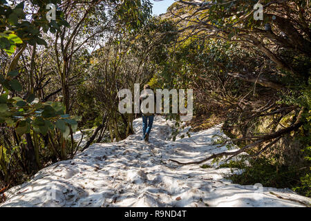 Lady wandern mit grossen Fotografie Rucksack im Schnee Mt Buffalo Stockfoto