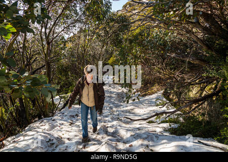 Lady wandern mit grossen Fotografie Rucksack im Schnee Mt Buffalo Stockfoto