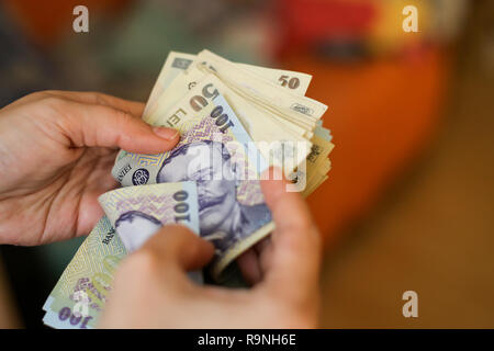 Details mit den Händen einer jungen Dame zählen Banknoten von 50 und 100 Rumänische Lei Währung Stockfoto