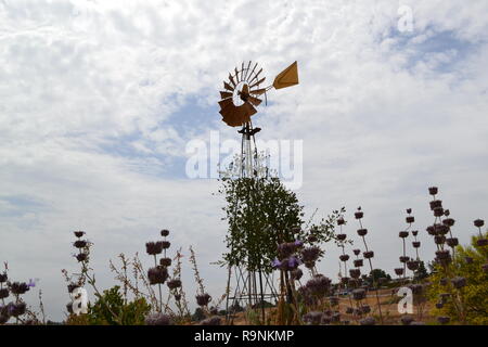 Brittlebush (Gelb) und Chia (Mauve) unter einem Wind Pumpe in den Wiesen des zentralen Temecula, südlichen Kalifornien, Riverside County Stockfoto