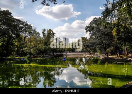 See und Wald der Wald von Chapultepec. städtischen Park in Mexiko Stadt. (Foto: Luis Gutierrez/NortePhoto.com) Stockfoto