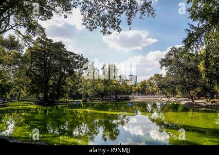 El Bosque de Chapultepec.Parque Urbano en la Ciudad de México. (Foto: Luis Gutierrez/NortePhoto.com). Stockfoto